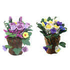  2 Pcs Puppenhaus Topfpflanze Mini-Möbel Blumendekorationen Mini-Blumentöpfe