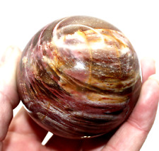Large Polished Fossil Wood Sphere 60mm healing crystals fossils Ref WS1.FWS5