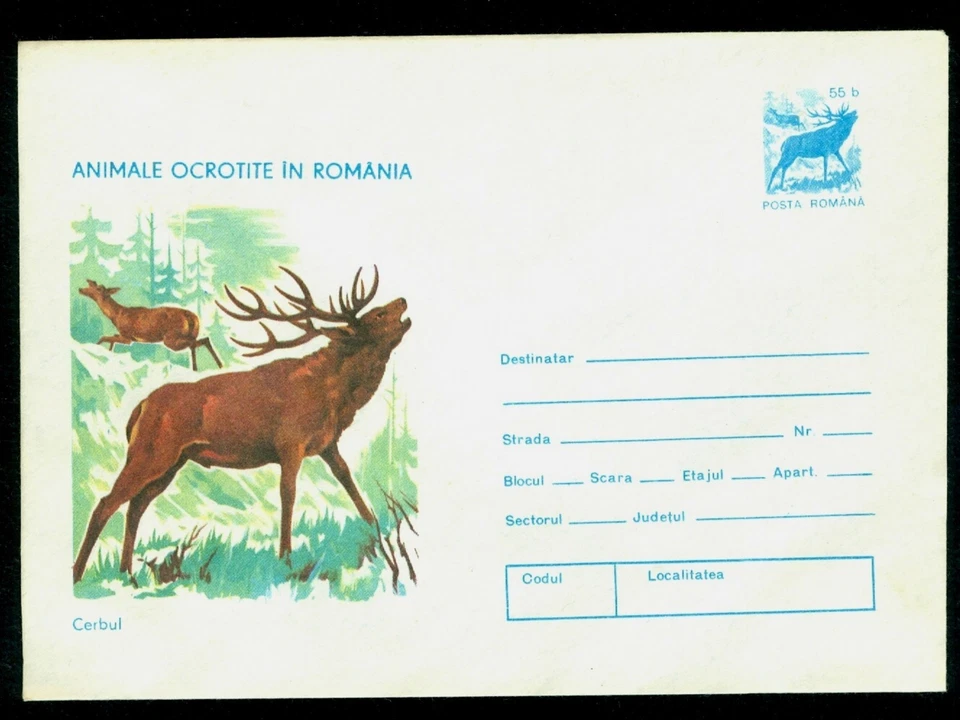 1977 El ciervo rojo (Cervus elaphus), aves y animales protegidos, Rumania, cubierta Foto 1 de 1