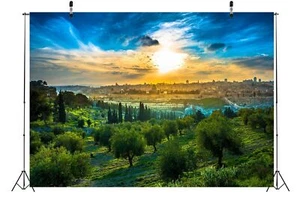 5x3ft Fabric Sunset View of Old City Jerusalem Backdrop Mount of Olives Dome ... - Picture 1 of 7