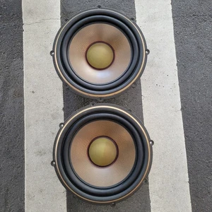 Par de unidades de altavoces woofer DIATONE PW-3048BM 12" vintage Japón - Imagen 1 de 4