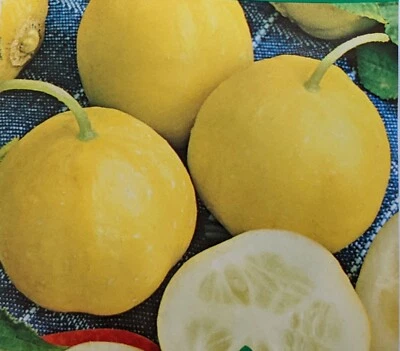 SEED-Cucumber -Mild, Sweet, Round Lemon Cucumber Seeds Heirloom - Great for Kids - Image 1 of 4