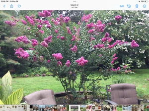 "REGENT” by GORHAM - 6 BUTTER KNIVES   - SILVER PLATE - - Picture 1 of 5