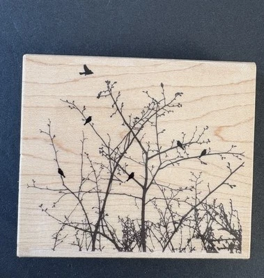 Пенни черный зимний ребро дерево птицы ветви 2012 резиновый штамп 42741L - Изображение 1 из 4