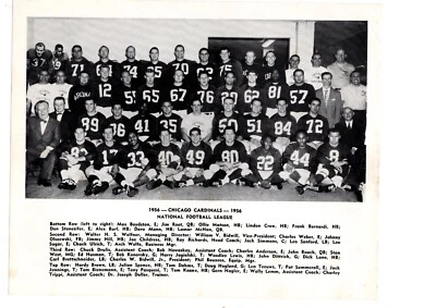 VINTAGE ORIGINAL 1956 CHICAGO CARDINALS NFL  8x10 TEAM PHOTO MATSON LANE - Image 1 of 2