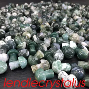 100 piezas Venta al por mayor Natural Acuático Aagata Hongo Cuarzo Cristal Mineral 1" Gema - Imagen 1 de 12