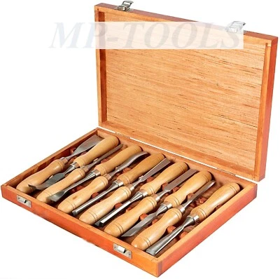 SGORBIE PROFESSIONALI INTAGLIO SCALPELLI UTENSILI PER LEGNO SET 12pz