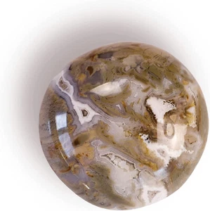 Ibis Jasper Palm Stone - Picture 1 of 5