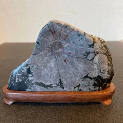 Piedra crisantemo japonesa SUISEKI 4,3 pulgadas visión natural Kikkaseki Foto 1 de 4