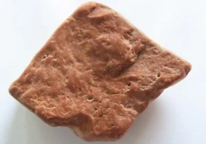 Piedra caliza del Mar Rojo (Jordania e Israel) 30 grs - Imagen 1 de 5