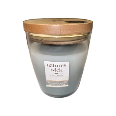 Woodwick Nature's Wick Agave Flower Weathered Wood Succulent Jade Candle Jar 10 - Image 1 of 4