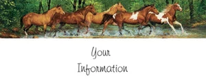 Return Address Mailing Labels Custom Horse Creek  - Picture 1 of 1