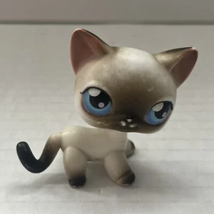 Hasbro Littlest Pet Shop LPS 2004 #5 Siamese Short Hair Cat Blue Eyes Authentic  - Bild 1 von 6