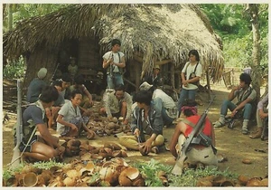 AK Frans Welman, Fotograf "Guerilla sind erste Bauern" 1991 postfrisch - Bild 1 von 1