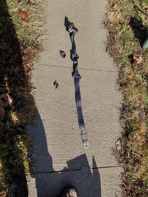 1998 DODGE DAKOTA RIGHT PASSENGER FRONT SEAT BELT RETRACTOR GRAY REGULAR CAB Foto 1 de 4