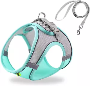 Cat Harness and Leash Set Soft Adjustable Escape Proof Cat Leash Breathable Comf - Picture 1 of 12