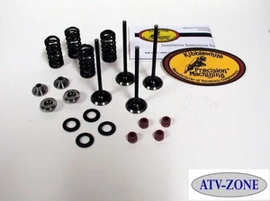 KibbleWhite Valves and Spring Kit with Seals Honda TRX 250X 87-92 300EX 93-09 - Picture 1 of 2