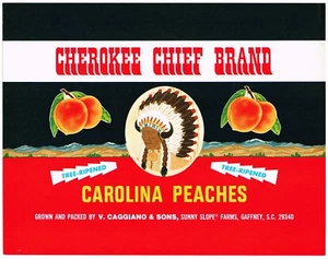 ORIGINAL CRATE LABEL VINTAGE PEACH SOUTH CAROLINA GAFNEY CHEROKEE INDIAN  N87 - Picture 1 of 1