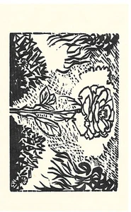 Ulrich Bewersdorf Rose im Wald Handsignierter Holzschnitt FELIXMÜLLER Schüler - Imagen 1 de 1