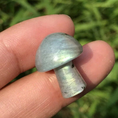 Natural Labradorite Stone Quartz Crystal Carved Mini Mushroom Energy Gem Figurne - Image 1 of 4