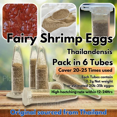 Huevos de camarón de hadas alimento vivo para peces betta guppy recién nacido para cultivo de escotilla Foto 1 de 4
