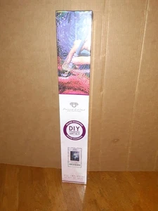 RUNDER DIAMOND ART CLUB DIY DIAMOND ART KIT WOLKENLÄUFER CLAUDIA MCKINNEY - Bild 1 von 2
