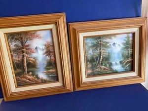 (2) 12 1/4" x 16" completed oil paintings Oak frames SIGNED M.S.COTT - Picture 1 of 12