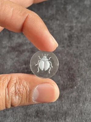 Cristal de roca natural tallado a mano insecto intaglio talla forma redonda Foto 1 de 4
