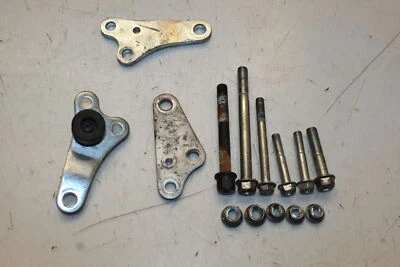 2022 Suzuki DRZ 400 Engine Mounting Bolts Hardware  Motor Screws 41993-29F10 Foto 1 de 4