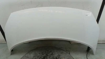 7751474289 COFANO / 7751474289 / 1007550 PER RENAULT SCENIC II AUTHENTIQUE Foto 1 de 4