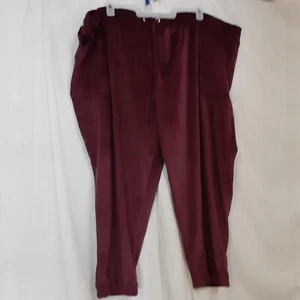 Terra & Sky Sz 4x Burgundy Purple Velour Joggers New No Tags - Picture 1 of 4