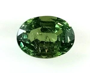 UNHEAT NATURAL GREEN SAPPHIRE 1.48 Cts BEAUTIFUL COLOR OVAL SHAPE LOOSE STONE - Picture 1 of 5