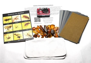 Kit de pulido ámbar - ¡Cada pieza con insectos! ¡25 piezas, lupa, certificado de autenticidad y más! - Imagen 1 de 9