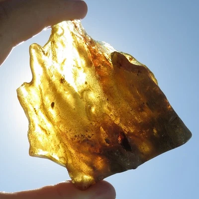 Minéraux *** AUTHENTIQUE "AMBRE JEUNE" Avec INSECTES Madagascar - Photo 1/2