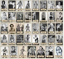 2021 LJACards "Legends of the Ring 3" History of Wrestling Trading Cards ACEO