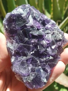 268g Purple Fluorite Mineral Specimen/Guizhou  - Bild 1 von 17