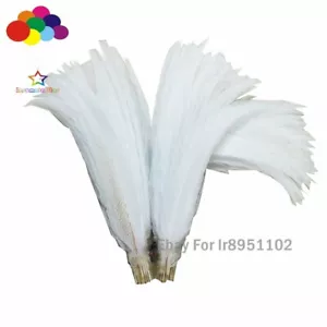 50 pz piumaggio argento naturale piuma di fagiano 40-80 cm bianco coda motivo nero - Foto 1 di 13