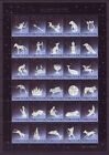 Wyspy Owcze Boże Narodzenie Komplet 2001 Znak zodiaku Etykieta Arkusz pieczęci a