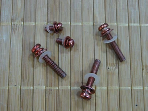 SONY PS-230 HIGH QUALITY TOP 1972 TURNTABLE PARTS: FIXING SCREWS II. JAPAN. - Picture 1 of 1