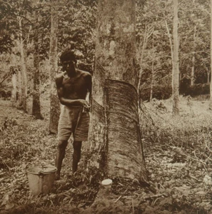 Square Top Keystone Stereoview a Hindu Gathering Latex, Fiji Islands K600 #1037 - Picture 1 of 3