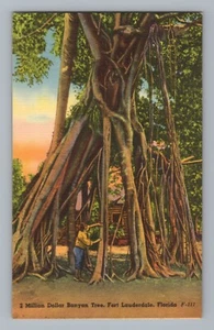 2 Millon Dollar Tree Banyan Fort Lauderdale Florida Vintage Postcard - Picture 1 of 2