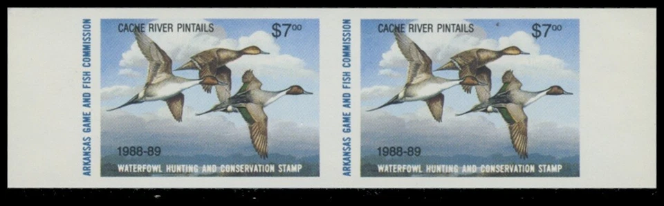 1988  Arkansas State Duck Stamp Mint Never Hinged. Original Gum. Imperf Pair  - Image 1 of 1