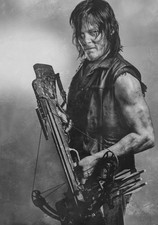 THE WALKING DEAD TV Show PHOTO Print POSTER Art Daryl Dixon Norman Reedus 007