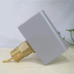 Water Flow Switch F61KB-11C 1 Inch Pipe Target Water Level Switch - Picture 1 of 4