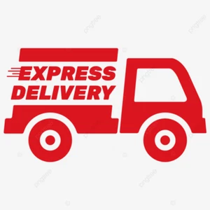 Express Delivery Options - Picture 1 of 1