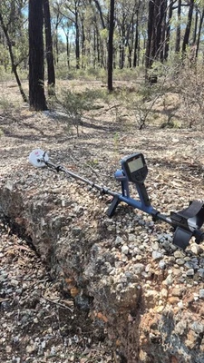 Stand For The Minelab Gold Monster 2000/1000 Foto 1 de 4