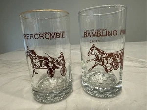Abercrombie & Rambling Willie Meadowlands Harness Horse Racing Glasses - Picture 1 of 5