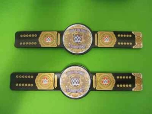 WWE Championship Title World Tag Team Championship Slapband Lot of 2 Slap Bands - Picture 1 of 3