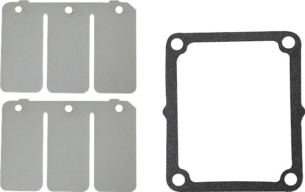 SP1 1997-2000 Mountain Max 700 Yamaha REED VALVE REBUILD KIT YAM SM-07158C Foto 1 de 1