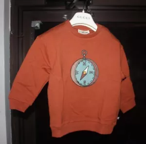 Carlijnq Jungen Kompass braun/rostfarbener Pullover 95 % Bio-Baumwolle - Bild 1 von 9